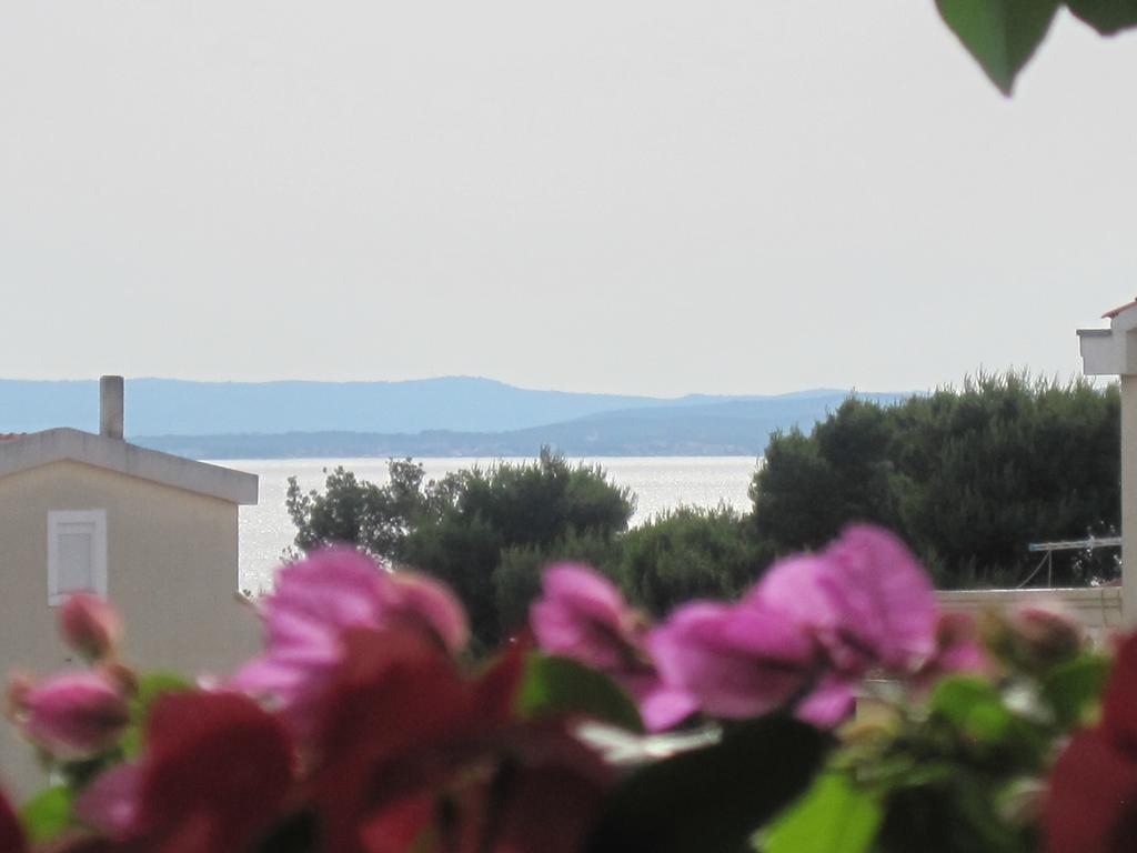Violet Apartament *